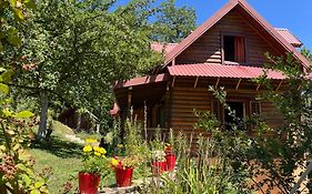 Estate Vukadinovic